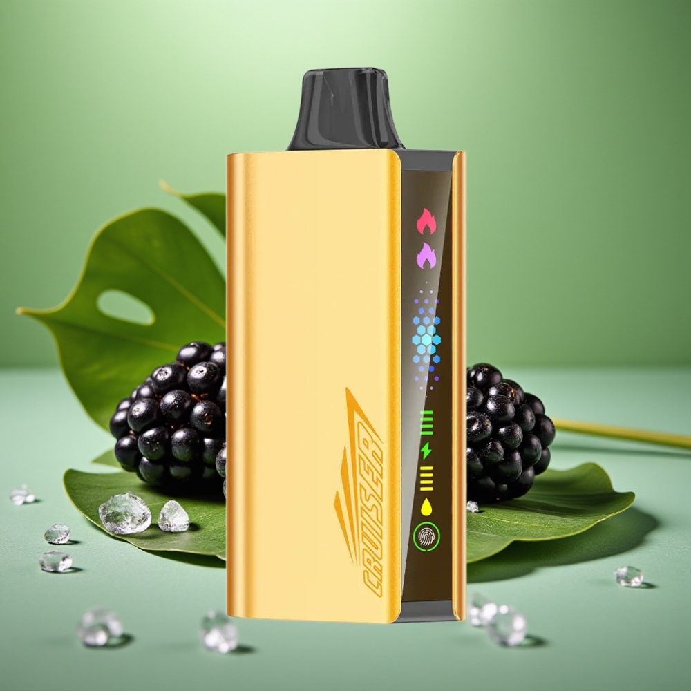 JNR Cruiser 12000 Puffs Dual Modes Zarzamora Helada vape distributor Mexico