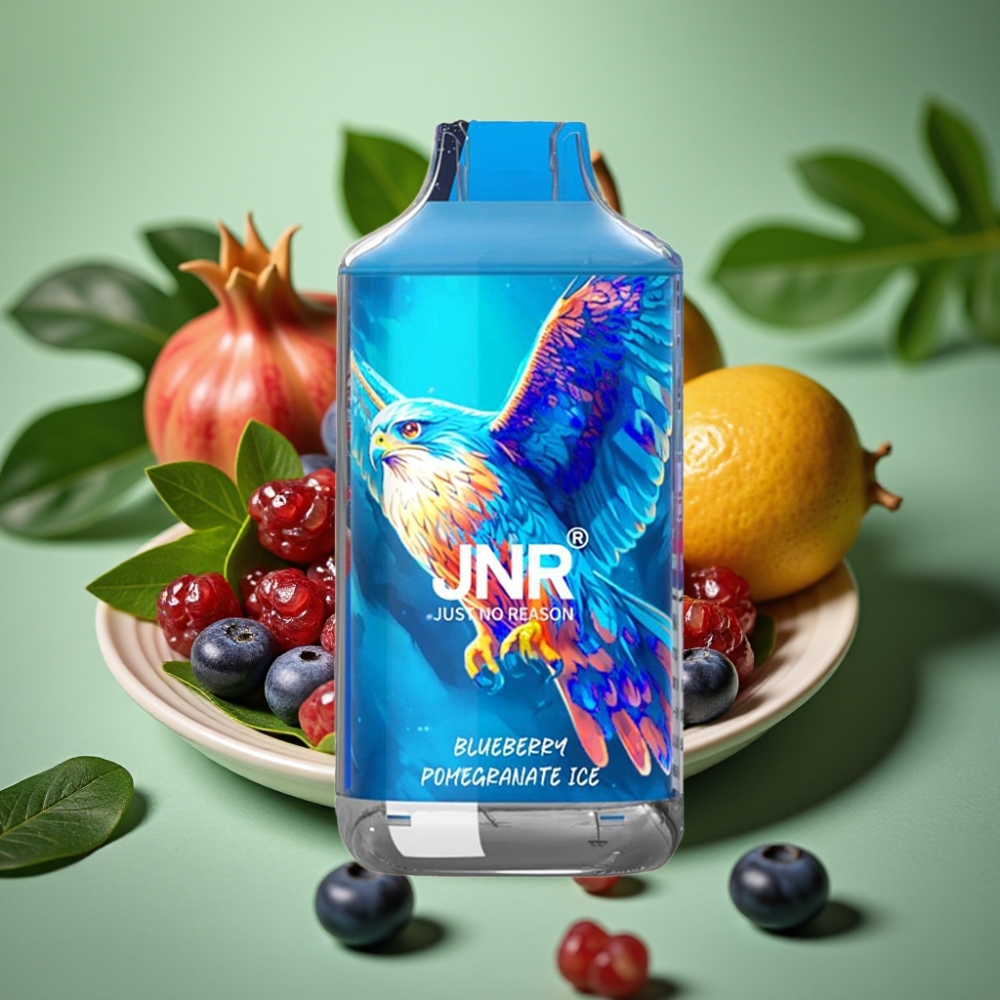 JNR Falcon 16000 Puffs 22ml Arándano Granada Helada vape distributor Mexico