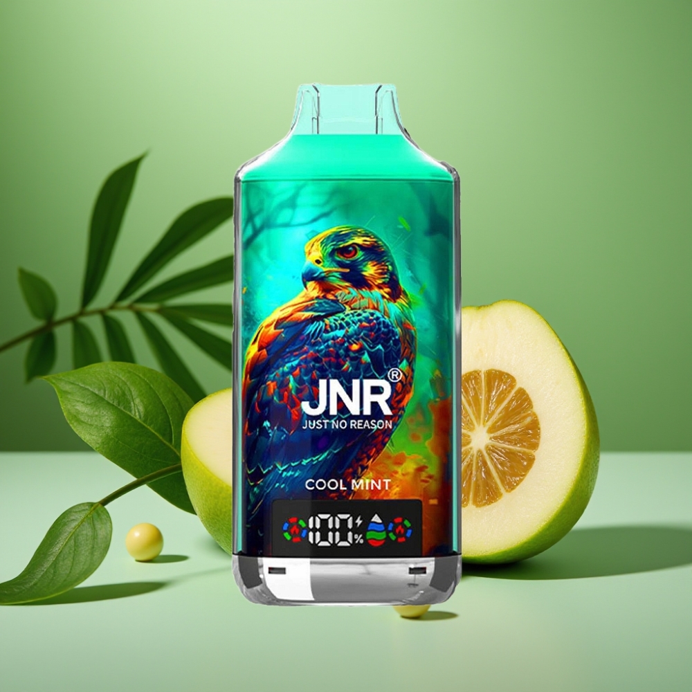 JNR Falcon X 18000 Puffs Digital Display Menta Refrescante