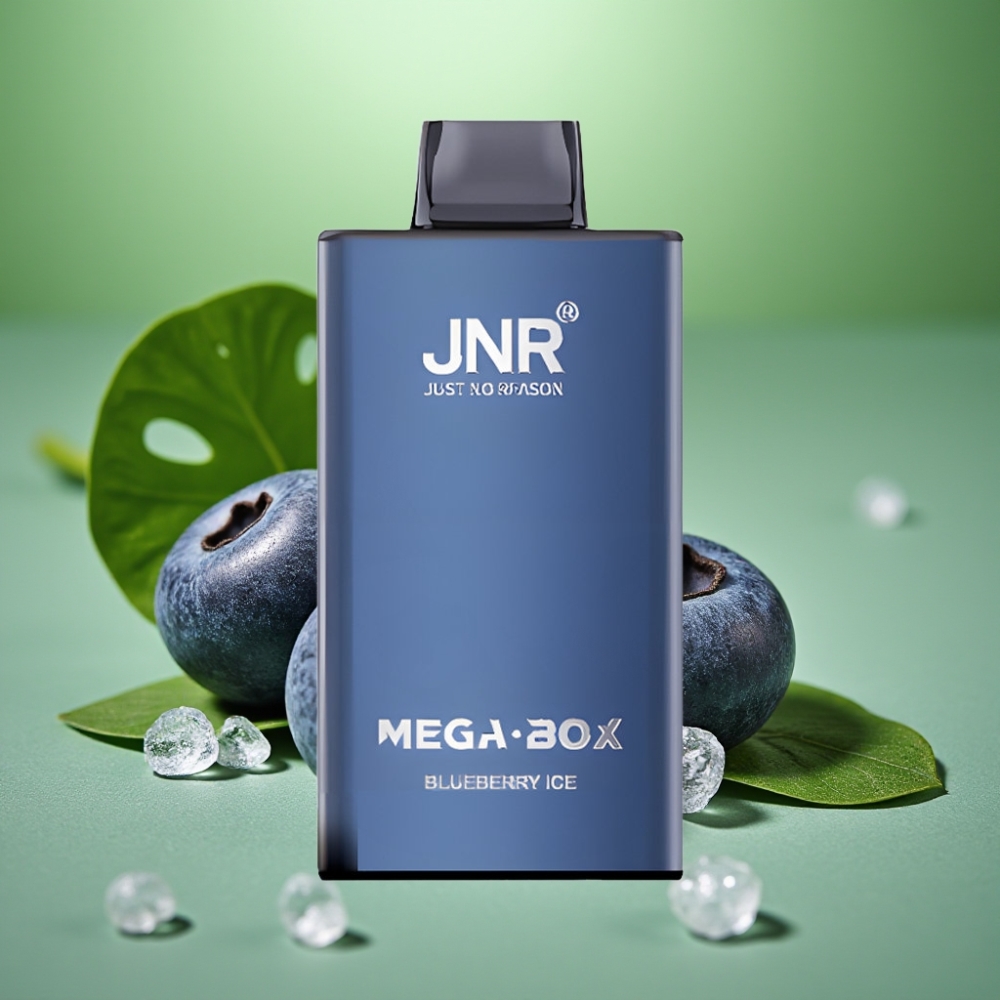JNR Mega Box 25000 Puffs 850mAh Helado de Arándano vape distributor Mexico
