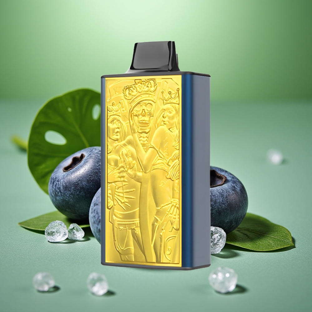 JNR Mega Box 25000 Puffs 850mAh Helado de Arándano vape distributor Mexico