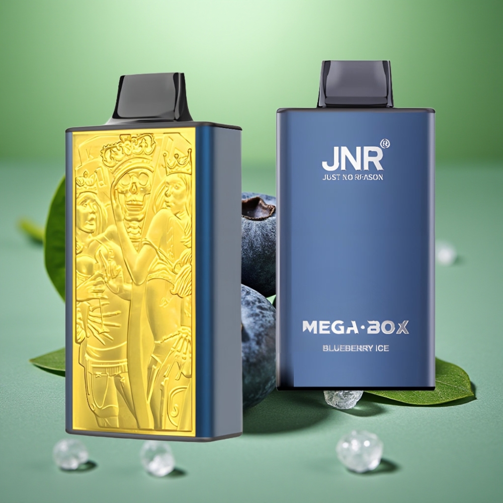 JNR Mega Box 25000 Puffs 850mAh Helado de Arándano vape distributor Mexico