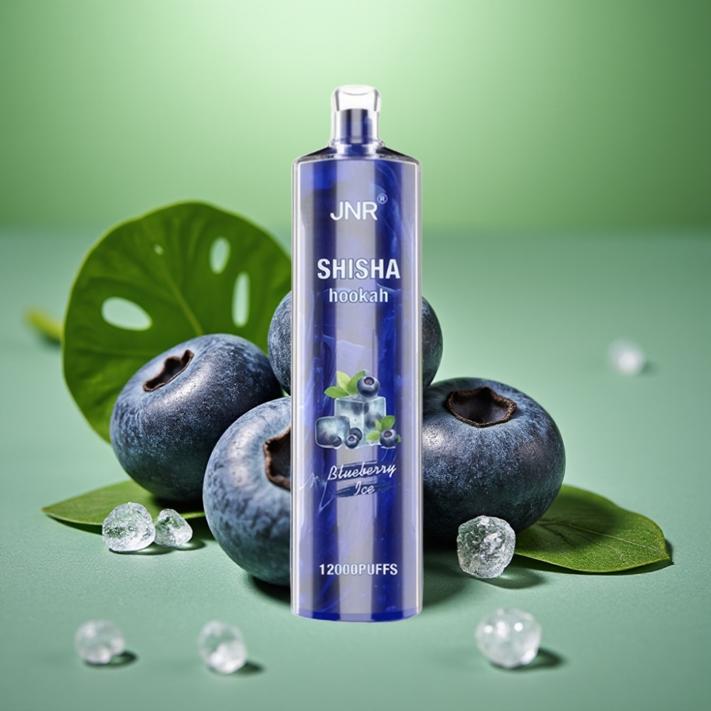 JNR Shisha Hookah 12000 Puffs 24ml Blueberry Ice (Arándano Hielo)