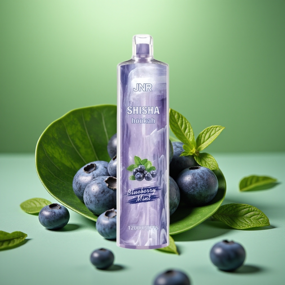 JNR Shisha Hookah 12000 Puffs 24ml Menta Arándano vape distributor Mexico