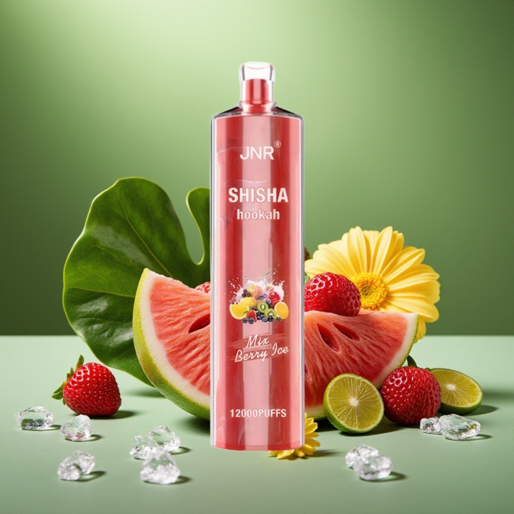 JNR Shisha Hookah 12000 Puffs 750mAh Baya Hielo vape distributor Mexico