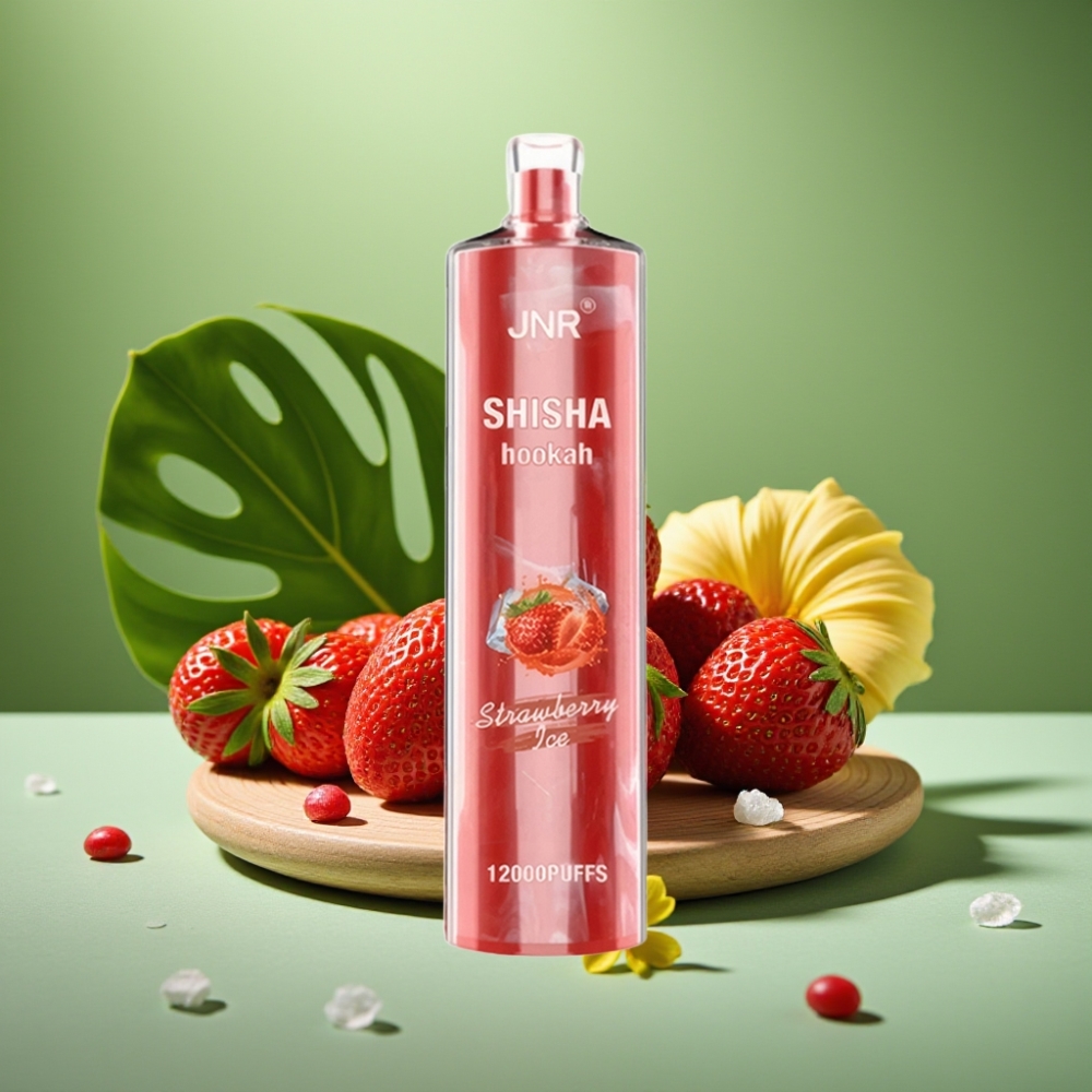 JNR Shisha Hookah 12000 Puffs 750mAh Fresa Helada vape distributor Mexico