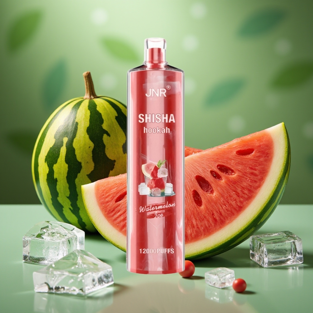JNR Shisha Hookah 12000 Puffs 750mAh Sandía Helada vape distributor Mexico