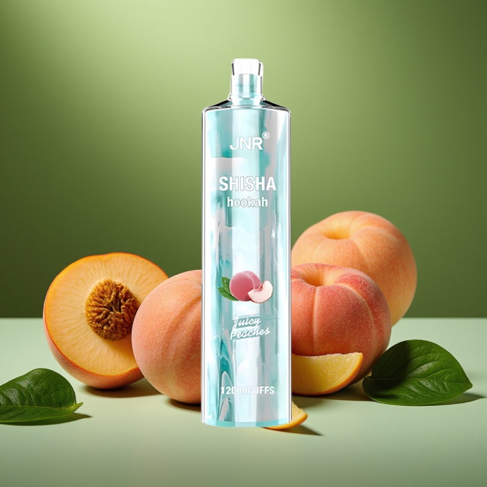 JNR Shisha Hookah 12000 Puffs Duraznos Jugosos 750mAh vape distributor Mexico