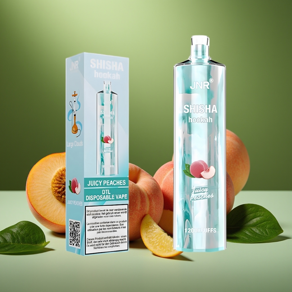 JNR Shisha Hookah 12000 Puffs Duraznos Jugosos 750mAh vape distributor Mexico