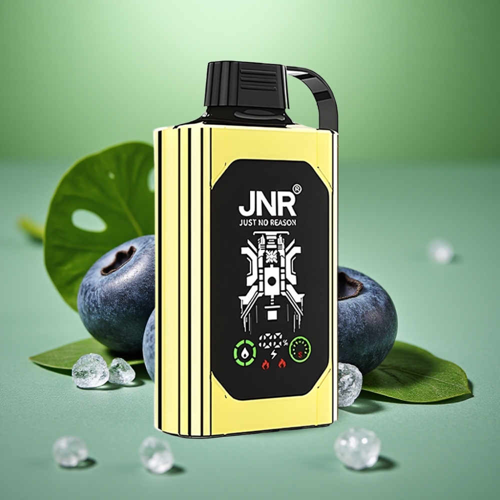 JNR Shisha Hookah Box 20500 Puffs HD Display Arándano Helado