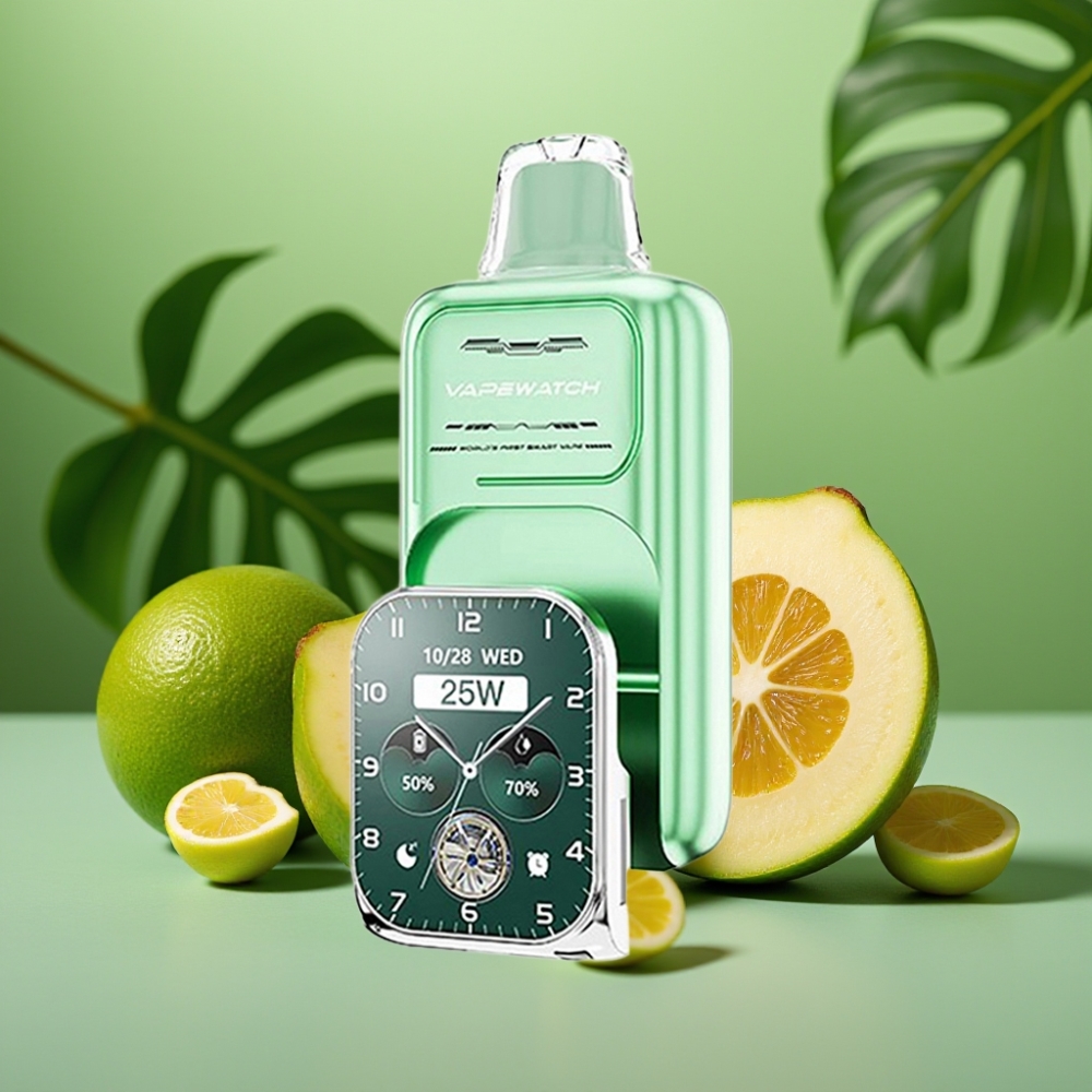 JNR VapeWatch 30000 Puffs Menta de Miami Tipo-C Carga Rápida