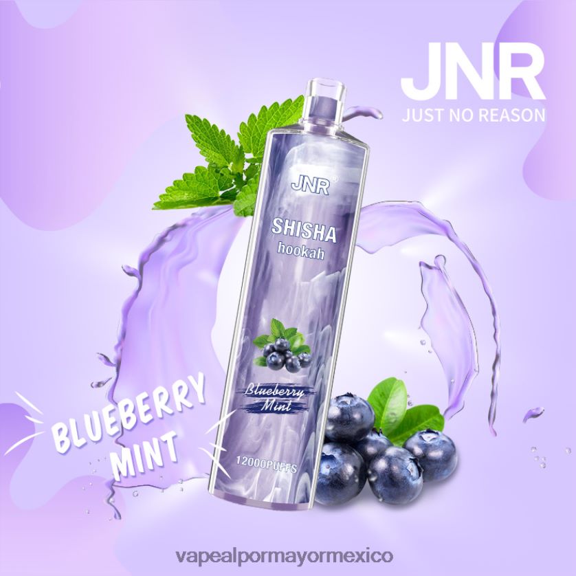 menta de arándanos