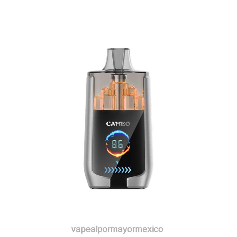 Vaporizador Desechable Al Por Mayor - LAVIE CAMEO 30000 bocanadas 608TD15 hielo de arándanos