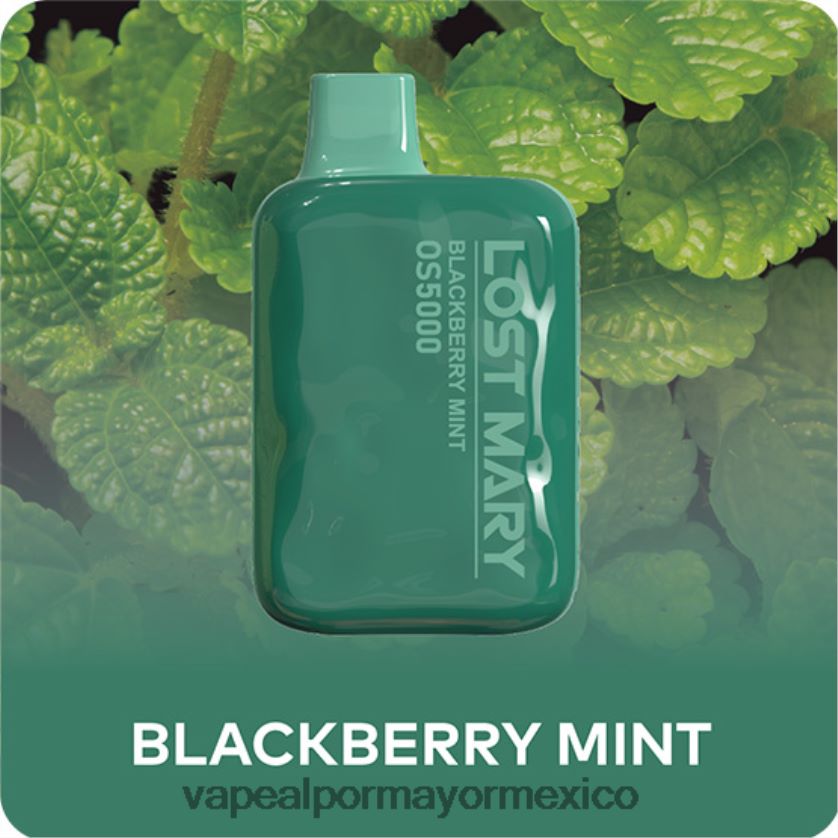 Vaporizador Desechable Al Por Mayor menta mora D4H84F485 LOST MARY OS5000